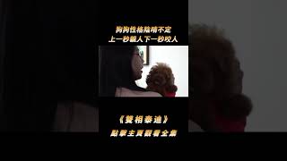 狗狗性格陰晴不定，上一秒親人下一秒咬人，專家卻說不是狗的問題#shorts