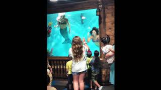 Blue Zoo Interactive Aquarium Mermaids