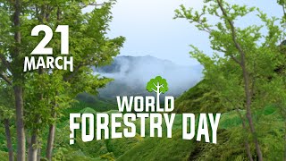 World Forestry Day | 21 March | International Day of Forests