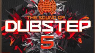 21 - Falling Down (xKore Remix) - The Sound of Dubstep 5