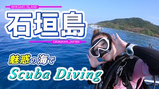 Scuba diving in Ishigaki Island. Okinawa,Japan.