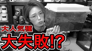 【大失敗？】セットから1ヶ月以上...何も変化のない大人気種の産卵セット、思い切って確かめた結果...