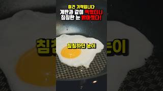 계란 제발 그냥 먹지 마세요