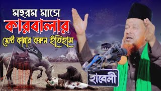 মহরম মাসে কারবালার শ্রেষ্ঠ কান্নার করুন ইতিহাস । মুফতী আব্দুর রহমান রেজভী । mufti abdur rahman rizvi