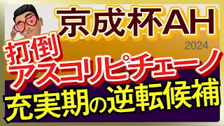 【京成杯オータムハンデ2024予想・有力馬解説・外厩】打倒アスコリピチェーノ！充実期の逆転候補！オーキッドロマンス、ディオ、ディスペランツァ、コラソンビートなど参戦。