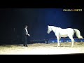 rückblick elmar kretz equus ii 2018