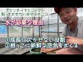 「プランターミニトマト」知っておきたい水やりのコツ【ベランダ菜園】