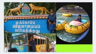 திருச்சி: முக்கொம்பு சுற்றுலா மையம்.....  தென் தமிழக காவேரி நதி ........ ஊர் சுற்றலாம் வாங்க......