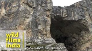 Holy cave of Lord Shiva - Amarnath