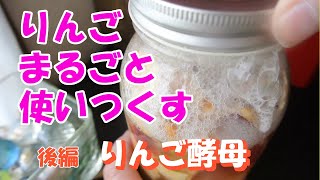 【りんごまるごと使いつくす】　後編「りんご酵母」　製パン用酵母を手作りします。