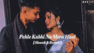 Pehle kabhi na mera haal - Slowed & Reverb Song | Udit narayan | bollywood hindi songs LoFi