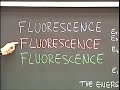 fluorescence and phosphorescence