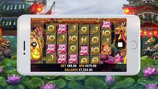 5 Lucky Lions - Habanero Video Slot