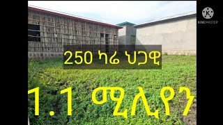 የሚሸጡ መኖሪያ ቤቶቺ ባዶ ቦታ ኮቻ የድሮው አየር ማረፊያ ቱላዳሜ በርበሬ ወንዝ አዲሱ ሰፈር 2013