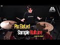 Sample Kulture - Pix Elated (Covered by Ralph Ong)