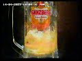 Ganzberg Beer  Amazing Taste 20s Apr 23