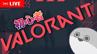 【#VALORANT】アドバイス歓迎！画面バグらないでください！【初心者 ソロ コンペティティブ】