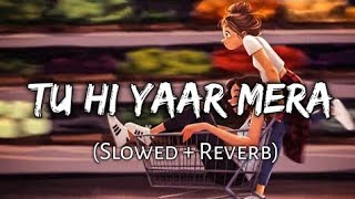 Tu Hi Yaar Mera { slowed+reverb } hi lofi song Lyrics-Arijit singh,Nehakakkar  | Ashok Baraiya |