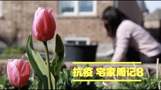 【11糖果•周记】母亲节礼物/疫情期间/宅家第8周/习惯并享受/