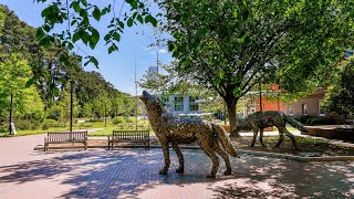 Dean Linton's 2021 Welcome Back Message
