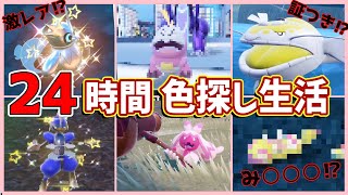 【確率0.0003%！】24時間色違い探し生活したら何匹でるの！？　【ポケモンSV】【なっとうポリス コラボ】【ゆっくり実況】