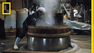 A 750-Year-Old Secret: See How Soy Sauce Is Still Made Today | Short Film Showcase