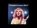 Peter Frampton - Do You Feel Like We Do [live single version]