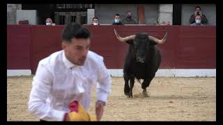 😍 ESPECTACULARES RECORTES TOROS BRAVOS - CONCURSO DE RECORTES ALMOGUERA (GUADALAJARA ESPAÑA)