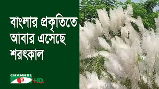 বাংলার প্রকৃতিতে আবার এসেছে শরৎকাল