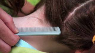 How to check your child for head lice