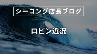 【シーコング店長ブログ】ロビン近況【2024年6月15日】