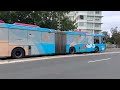 transport for sydney vlog 691 city2surf 2023 special event buses