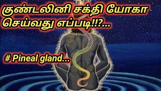 குண்டலினி சக்தி மேலே ஏற்றுவது எப்படி??