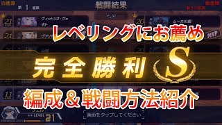 【アビス・ホライズン】僕的レベリングにお薦めの編成＆戦闘方法紹介します