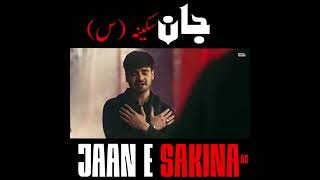 KiNG Nadeem Sarwar And Ali jee #status #JanE Sakinaس