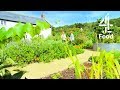 Behind the scenes of River Cottage Veg | 4Food