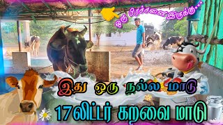 17 லிட்டர் கறவை,ஒரு சின்ன பிரச்சனை#விவசாயம் @PROFESSIONALUZHAVAN