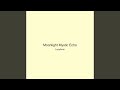 Moonlight Mystic Echo