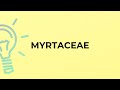 What is the meaning of the word MYRTACEAE?