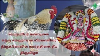 பெரும்பேர் கண்டிகை | கார்த்திகை தீப திருவிழா | Deepam Festival #deepam2024 #murugan #hen #oldtemple