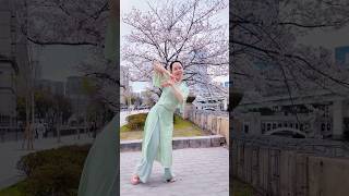 桜の前に中国舞踊を踊ってみた!#チャイナ服 #チャイナ #dance #chinesedance #中国舞踊 #漢服 #ootd #踊ってみた #ダンス #チャイナドレス