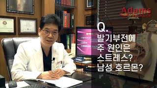 [아담스비뇨기과] 발기부전의 원인, 스트레스? 호르몬?