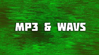 The Quality Difference Between MP3 and WAV 🌊🎧