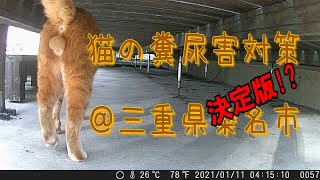 猫の糞尿害対策＠三重県桑名市益世地区　その１　エサやり爺、エサやり婆への対策をしましょう