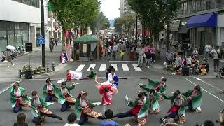 「さくらかのん『祈り〜百万本の桜〜』」まちなかよさこいフェス2019