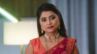 Paaru Marathi | Ep - 295 | Webisode | Dec 17 2024 | Zee Marathi