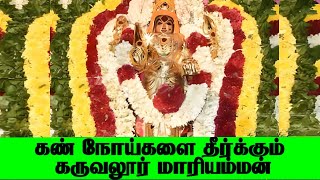 கண் நோய்களை தீர்க்கும் கருவலூர் மாரியம்மன்|Karuvalur Mariamman Temple|தேர்த்திருவிழா 2023| Tirupur