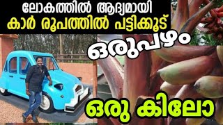 ശിലാ സന്തോഷിന്റെ വിസ്മയങ്ങൾ|Watch how this amazing artist creates his masterpieces|M4MANU