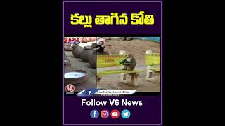 కల్లు తాగిన కోతి | Monkey Drinks Toddy Water | YouTube Shorts | V6 News