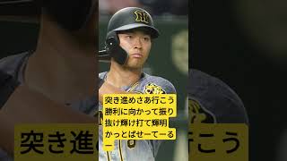 阪神タイガース佐藤輝明応援歌